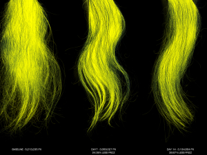 Hair Density Test - HAI16 Baseline, Day 7, 14 Frizz PhGx